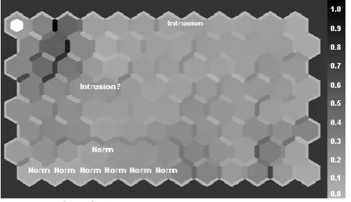 Fig. 3 Results of Experiment  