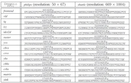 Table 2.2: The illustration of data-dependent Control-Trace feature using the ratio of values