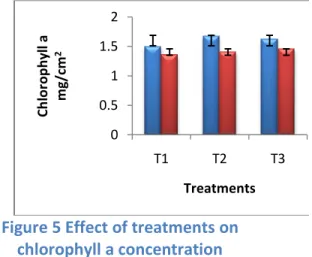 Figure 5 Effect of treatments on  chlorophyll a concentration 
