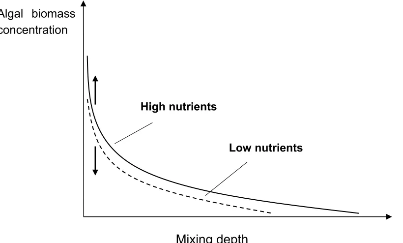 Fig. 2  Effects of mixing depth and nutrient enrichment on the biomass of phytoplankton