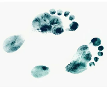 Figure 9: Footprints – have you looked for yours? CC BY Andy_3255, SA (flickr)