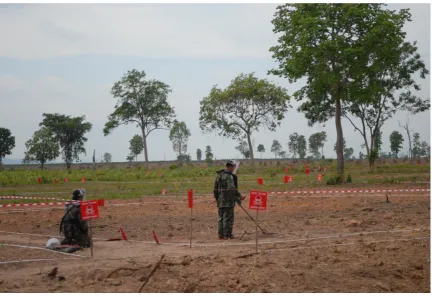 Figure 14: Demining operations 