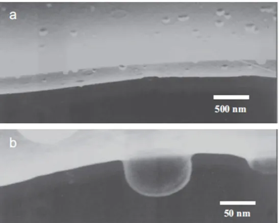 Figure 1-5. Panel A: Scanning electron microscopy image of rapid cryogenic freezing 