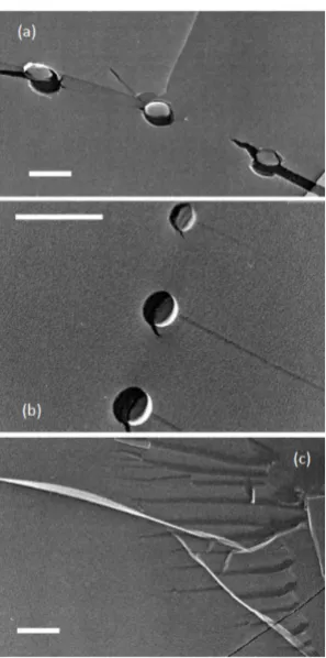 Figure 1-6. Replica transmission electron microscopy images showing spherical objects 