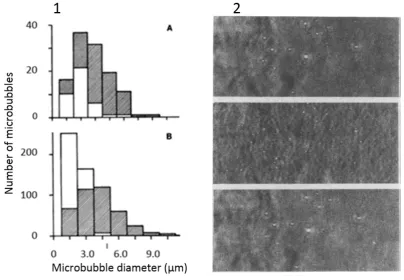 Figure 1-7. Early measurements on the effect of external pressure on the size of small 