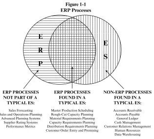 Figure 1-1ERP Processes