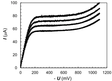 Figure 11. Array of strip gold microsensors embedded into a Plexiglas plate. (20 small working cathodes located between 2 large anodes)