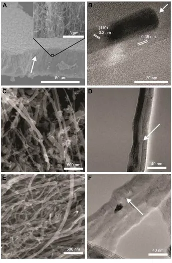 Figure 1 seM and TeM micrographs of cNTs.Notes: (A) representative image of the startup material, ie, the as-grown “forest” of cNTs