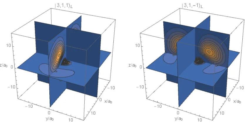 Figure 2.6: 3D probability distributions of the |3, 1, ±1˜⟩L states visualised with the 2Dcross sections.