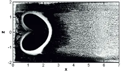 Figure 1. Surface visualization on the channel bottom.  