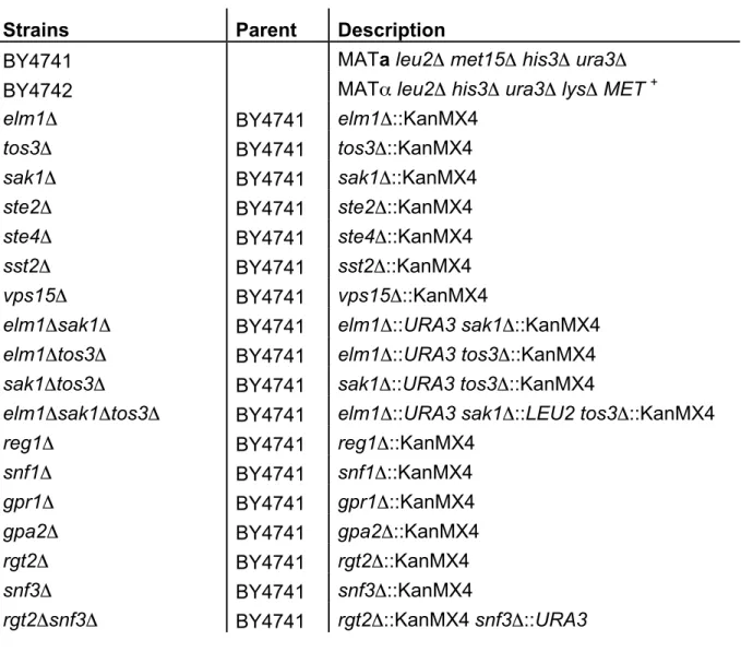 Table 3.1: Strains used in Chapter III 