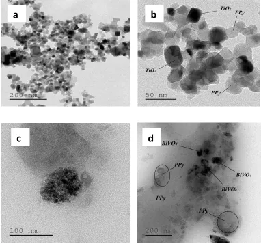 Fig. 1 TEM images of Polymer modified TiO2 (a, b); TEM images of Polymer modified BiVO4 (c, d) 