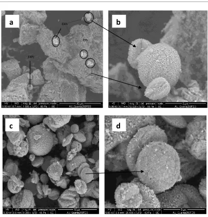 Fig. 2(c, d) shows the surface morphology of polymer modified BiVO4 nanoparticles. The particles are 