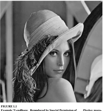 FIGURE 1.1Example “Lena”image. Reproduced by Special Permission of