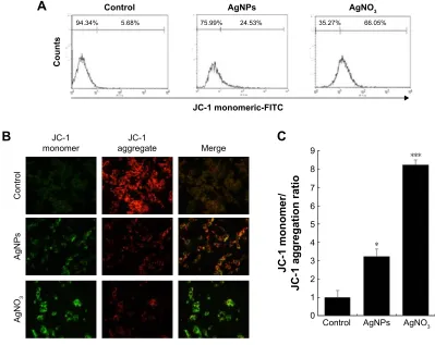 Figure 4 agNPs-induced loss of mitochondrial membrane potential.Notes: (A) F9 cells were treated with or without 12.5 μg/ml of agNPs or 6.125 μM of agNO3 for 24 h