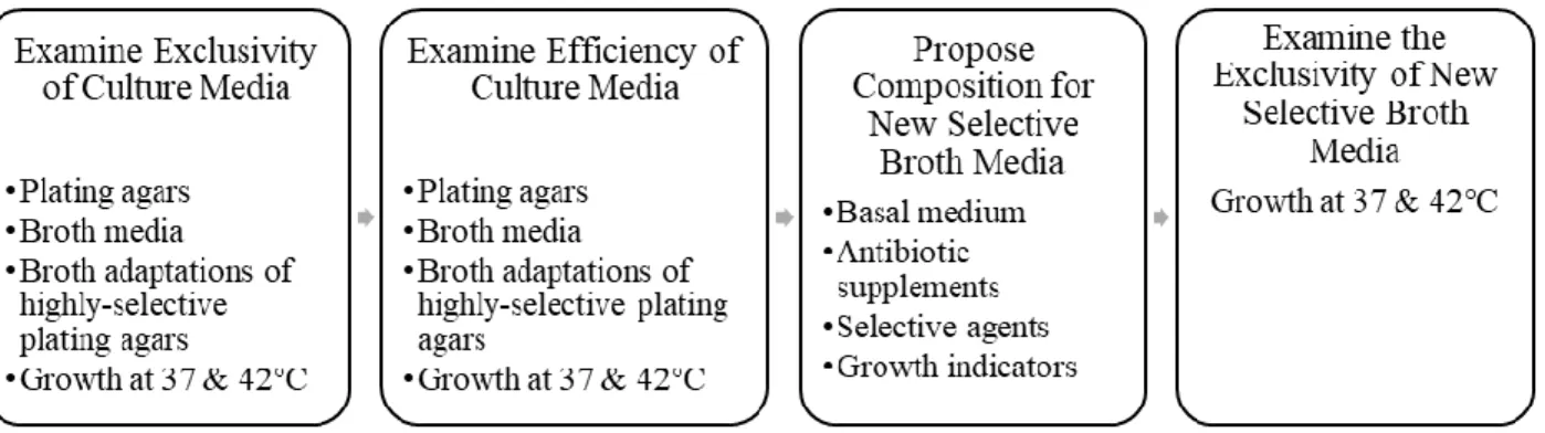 Figure 1. Experimental design for the identification and evaluation of culture media appropriate  for quantification of V