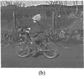 Figure 3.16 (a) Current fmmc; (h) previous frame; (c) residual frame (no motion compensa- tion) 