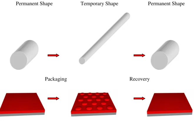 Figure 1.3  Representation of delocalized (top) and localized (bottom) shape changes 