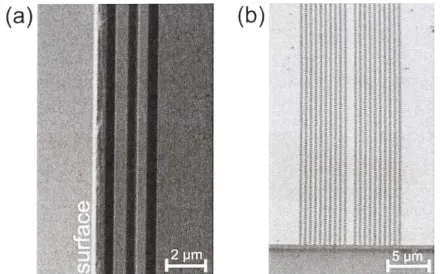 Figure 1.9: of Scanning electron microscope (SEM) images of nano-waveguides made quadratic nonlinear material LiNb03 from Ref