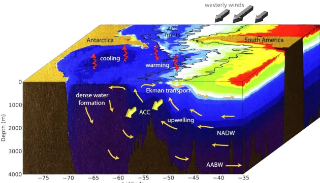 Figure 1.1: shows ocean density) tilt of Schematic of the large scale Southern Ocean circulation