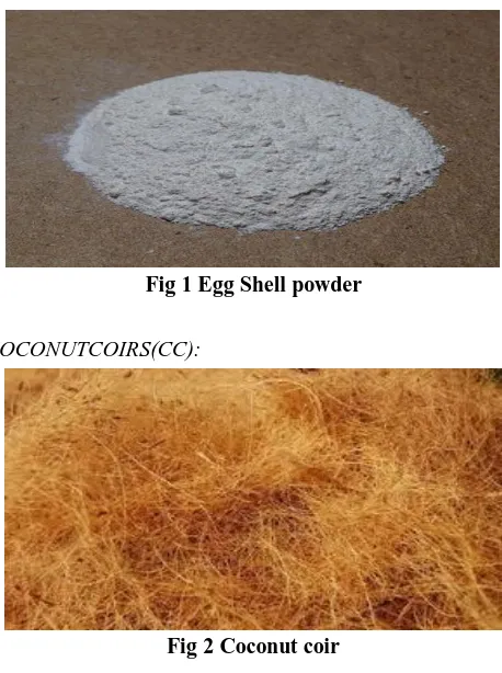 Fig 1 Egg Shell powder  