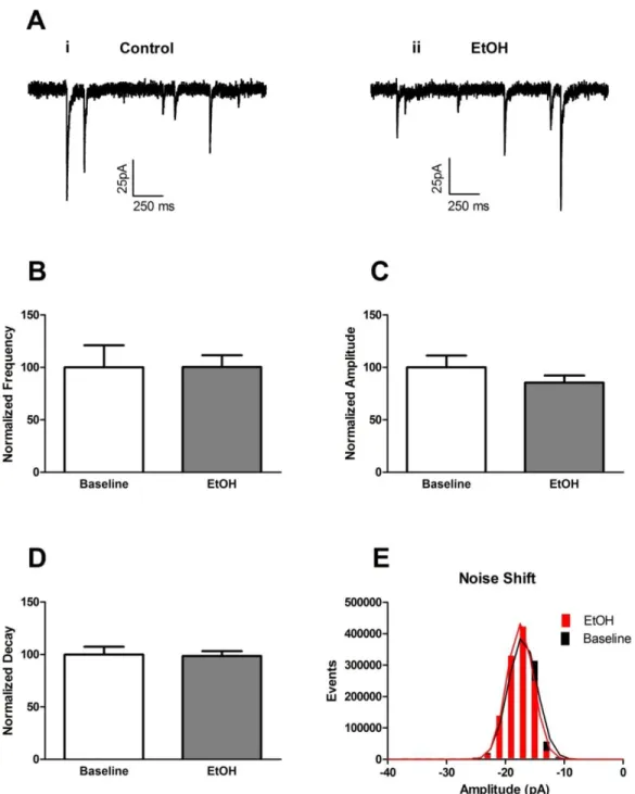 Figure 2.3:  Acute bath-applied alcohol had no effect on mini inhibitory post synaptic  currents (mIPSCs) in vPAG dopamine neurons