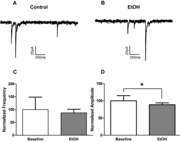 Figure 2.4:  Acute bath-applied alcohol had no effects on spontaneous inhibitory post  synaptic current (sIPSC) frequency in vPAG dopamine neurons