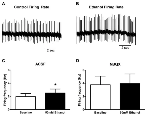 Figure 2.6:  Acute bath-applied alcohol (50mM) increased firing rate of vPAG dopamine  neurons in the cell-attached recording configuration