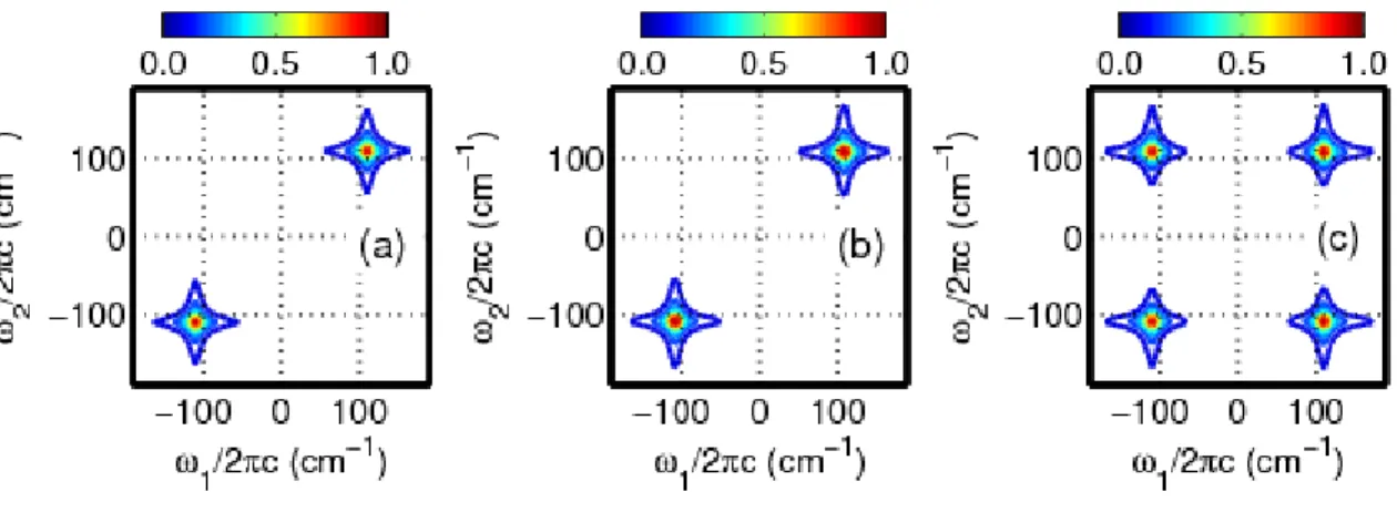 Figure 2.3. Absolute values of 2DRR spectra computed using (a) the sum of terms 1-4 in  Equation (2.22), (b) the sum of terms 5-8 in Equation (2.23), and (c) the sum of terms 9-12 in  Equation (2.24)