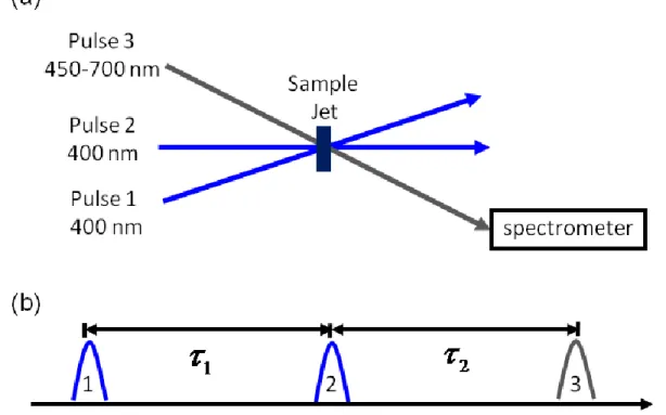 Figure 2.5. (a) Pump-repump-probe beam geometry used to detect signal components described  by terms 9-12 in Figure 2.2