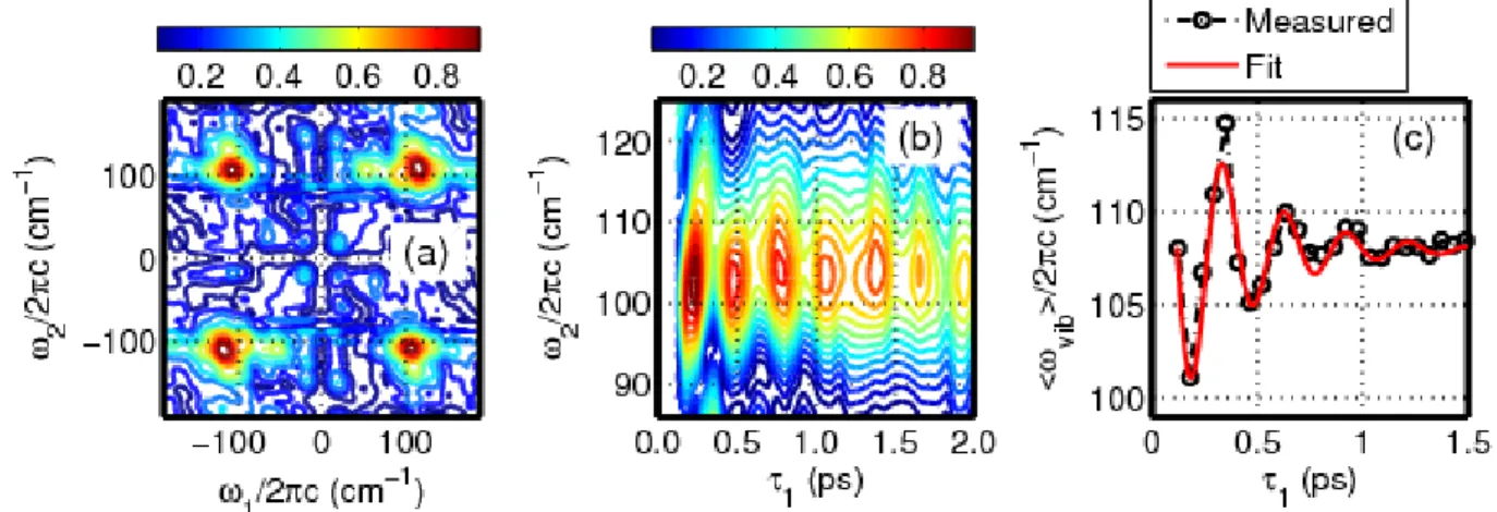Figure 2.10. 2DRR response of triiodide in ethanol with a detection wavenumber of 19,500 cm -1 (513 nm)