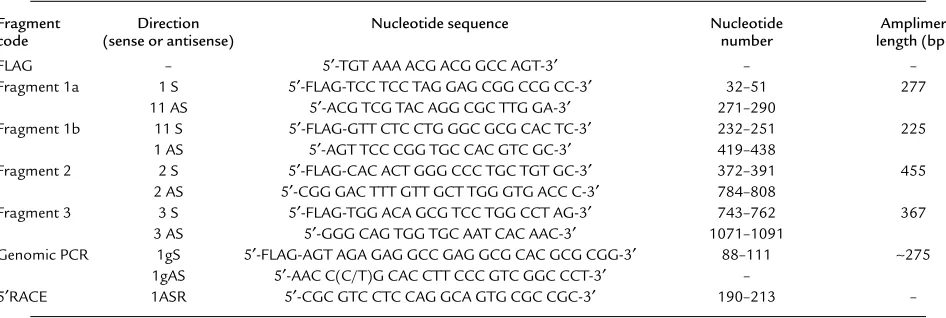 Figure 4′