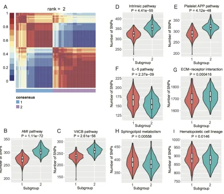 Figure 2: NMF-based subgroups of EC GWAS cohort. A. Heat map of consensus matrix when rank = 2, where two consensus subgroups are observed