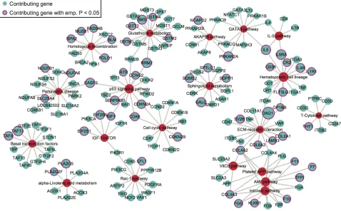 Figure 3: The network of top 20 pathways and their genes. Genes (blue) are mapped from contributing SNPs in PLINK set-based test