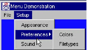 Figure 15-3: The Setup menu, showing second level menus. 