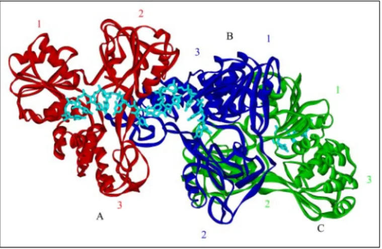 FIGURE 2. Superposition of chains A (red) and B (blue) that comprise the NS3h dimer structure