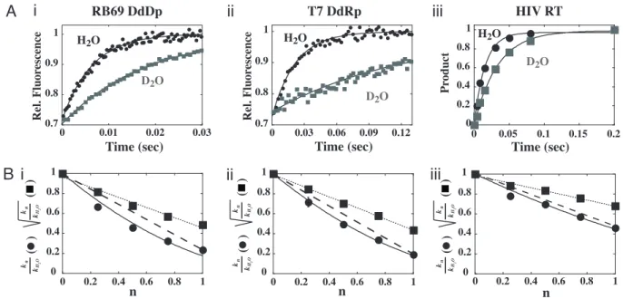 Fig. 5. Two protons are transferred during phosphodiester bond formation catalyzed by all polymerases
