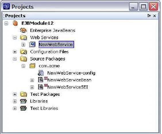 Figure 9-10Web service within an EJB module