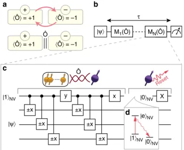 Figure 1 | Concept and experimental sequence. (a) Quantum Zeno subspaces. The state space of a quantum system is divided into two subspaces (yellow boxes) of an observable ^ O