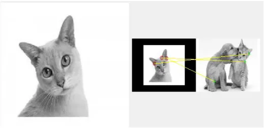 Fig. 5.1- Source image and its matching with another image. 