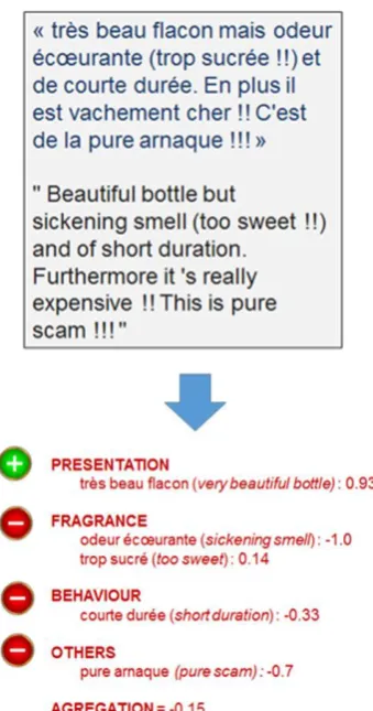 Figure 5: Example of opinion mining from a raw text, using our resource.  