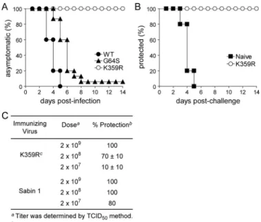 FIGURE 3. K359R PV is attenuated and protective in the cPVR mouse model. A, mouse infections with WT, K359R, and G64S PVs