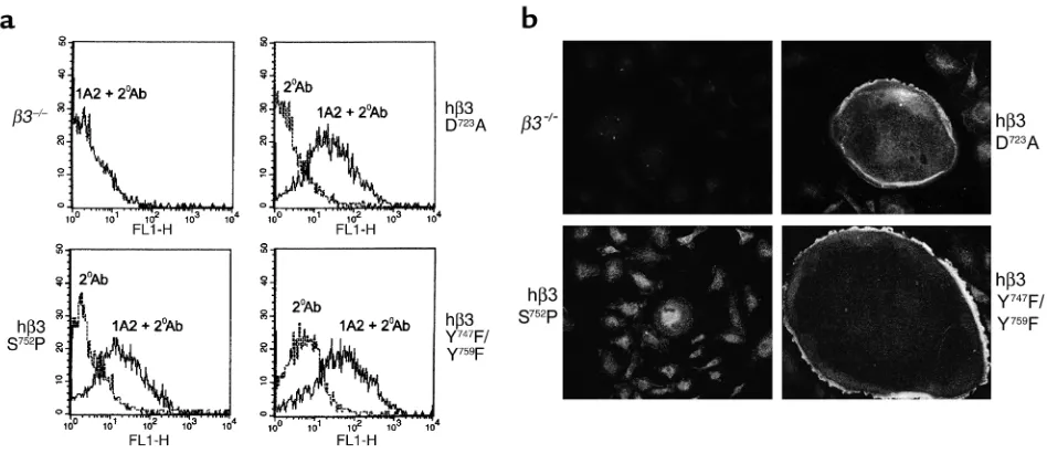 Figure 3β