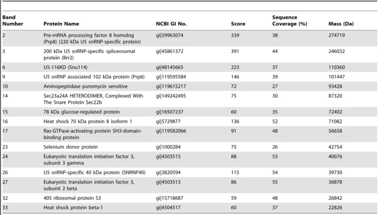 Table 1. Potential protein targets of EV71 3D pol were identified by MALDI-TOF MS analysis.