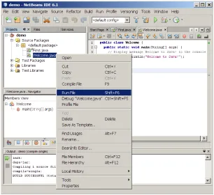 Figure 13 The execution result is shown in the Output pane.  