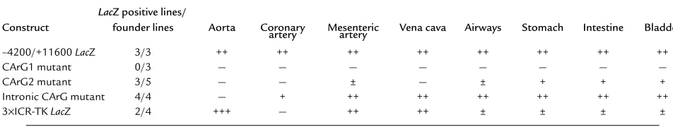 Table 1Summary of reporter gene expression in SM-MHC 