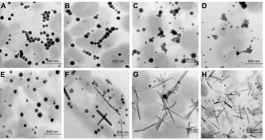 Figure 2 TeM micrographs of seNPs synthesized at different Na2seO3 concentrations at 30°c: (A) 0.3 mM, (B) 0.5 mM, (C) 1.0 mM, (D) 1.5 mM, (E) 2.0 mM, (F) 2.5 mM, (G) 3.0 mM, (H) 4.0 mM.Abbreviations: seNPs, selenium nanoparticles; TeM, transmission electron microscopy.