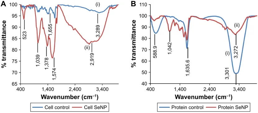 Figure 6 FTIr analysis of (A) cell suspension of Acinetobacter sp. sW30 and (B) TcP of Acinetobacter sp