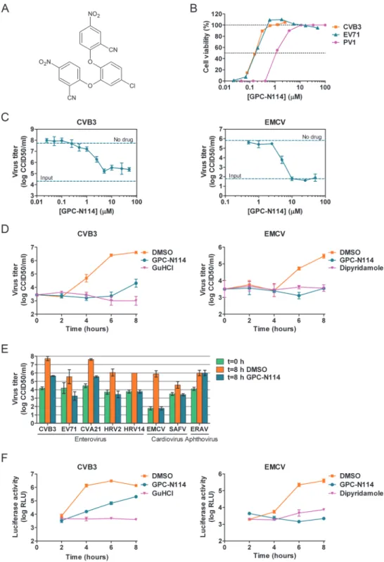 Fig 1. GPC-N114 inhibits picornavirus replication. (A) Structural formula of GPC-N114