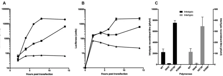 Figure 1. Replication and recombination analysis of poliovirus bearing a K359R mutation in the viral polymerase